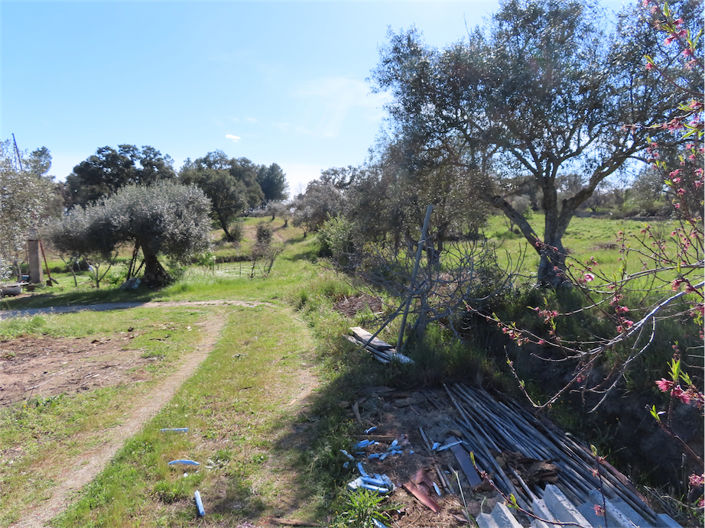 Image No.8-Property for sale