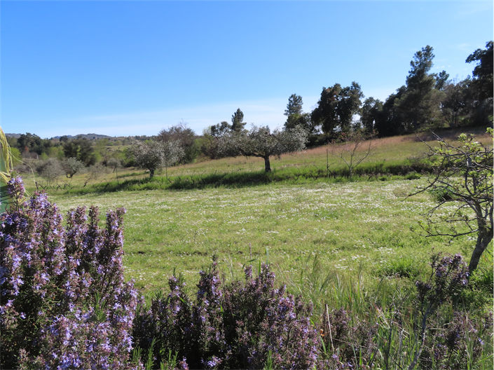 Image No.9-Property for sale