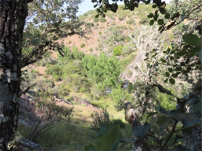 Image No.11-Property for sale