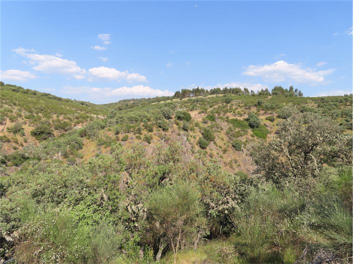 Image No.12-Property for sale