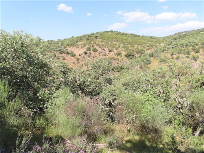 Image No.13-Property for sale