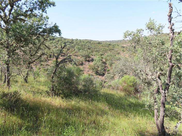 Image No.14-Property for sale