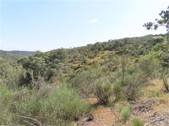 Image No.15-Property for sale