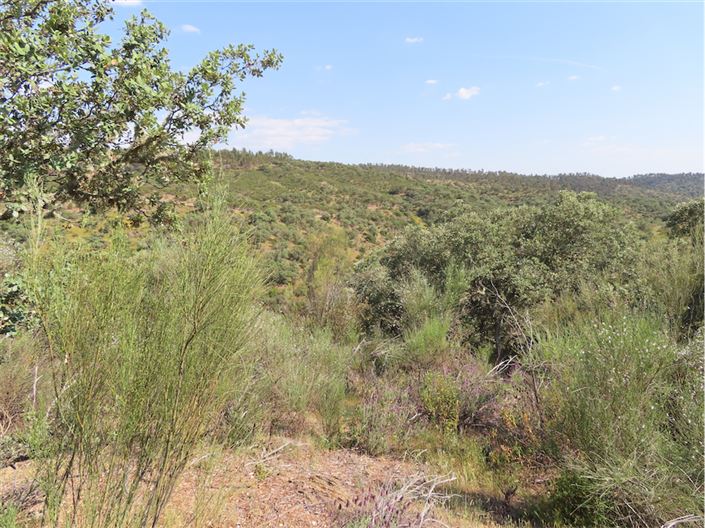 Image No.16-Property for sale