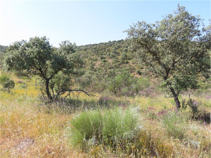 Image No.17-Property for sale