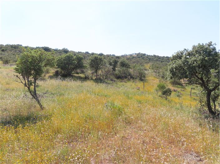 Image No.18-Property for sale