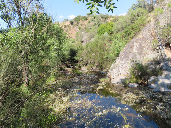 Image No.1-Property for sale