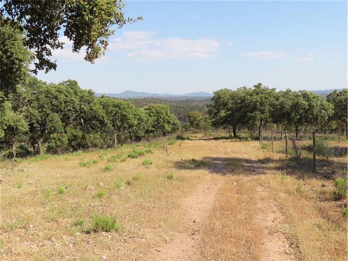 Image No.19-Property for sale