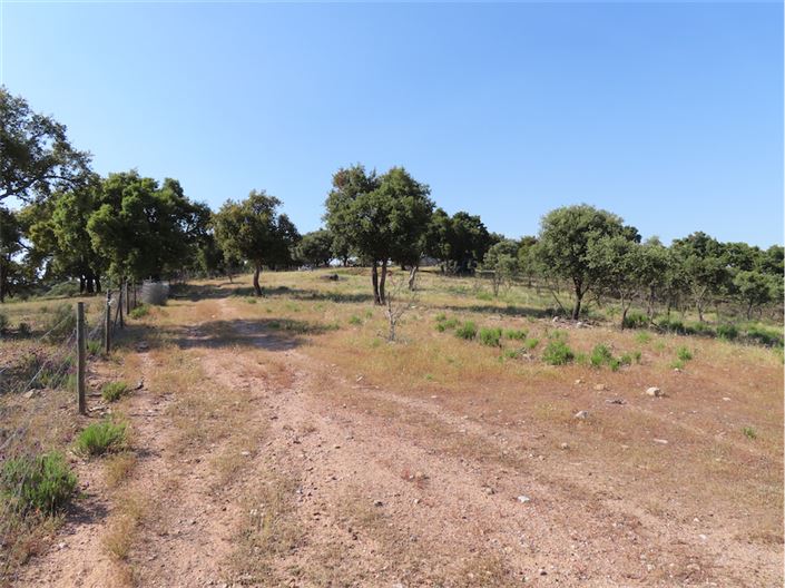 Image No.20-Property for sale