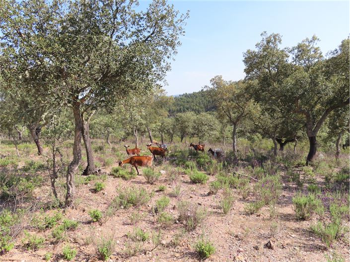 Image No.22-Property for sale