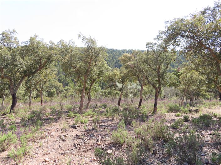 Image No.23-Property for sale