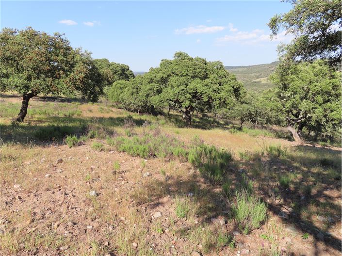 Image No.24-Property for sale