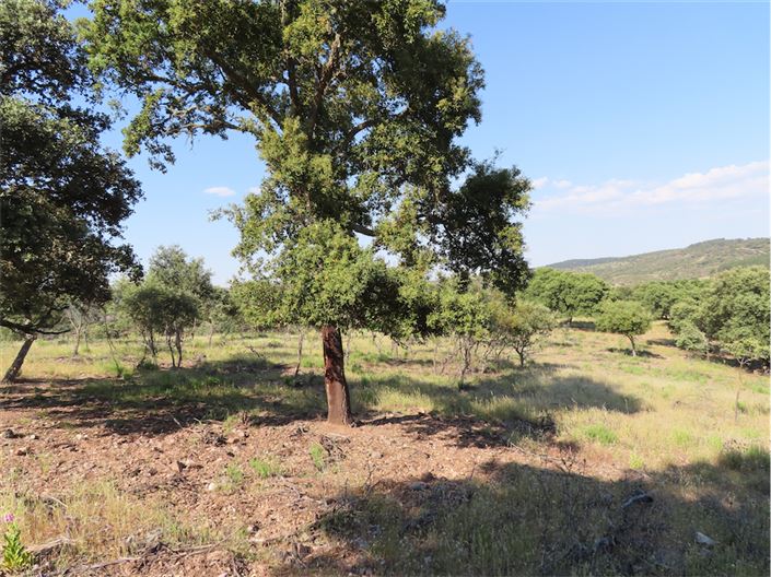 Image No.25-Property for sale