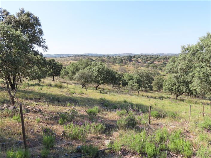 Image No.27-Property for sale