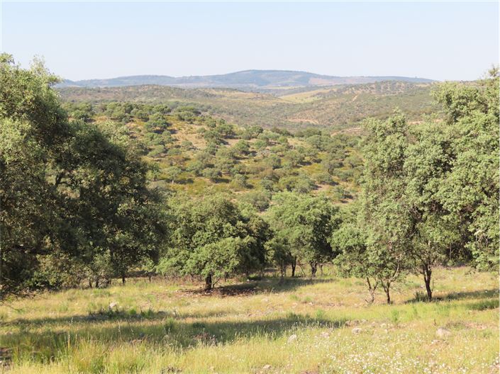 Image No.2-Property for sale