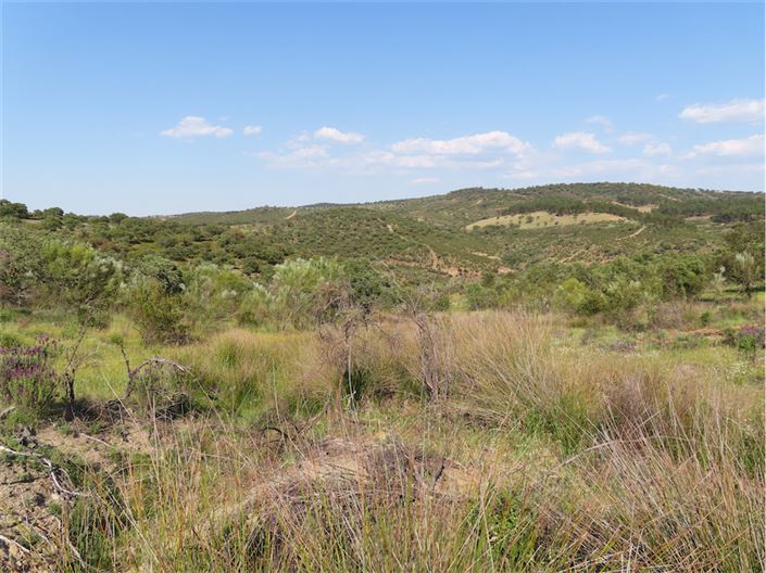 Image No.30-Property for sale