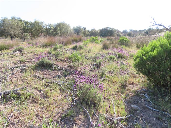 Image No.31-Property for sale