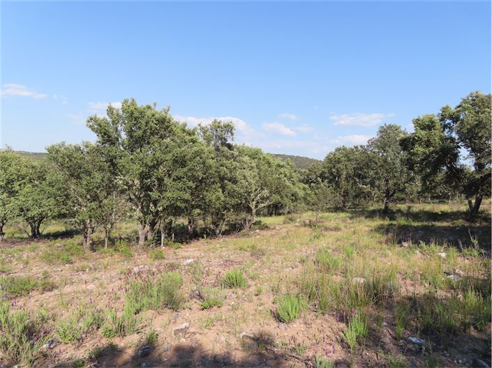 Image No.32-Property for sale