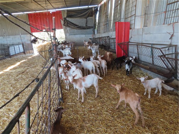 Image No.34-Property for sale