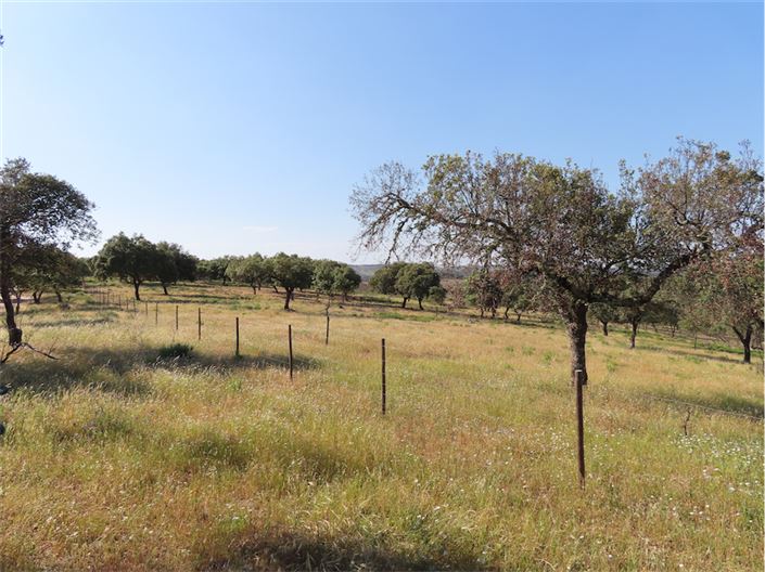 Image No.38-Property for sale