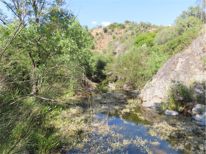 Image No.3-Property for sale