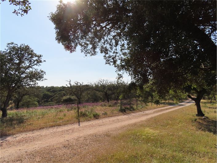 Image No.39-Property for sale