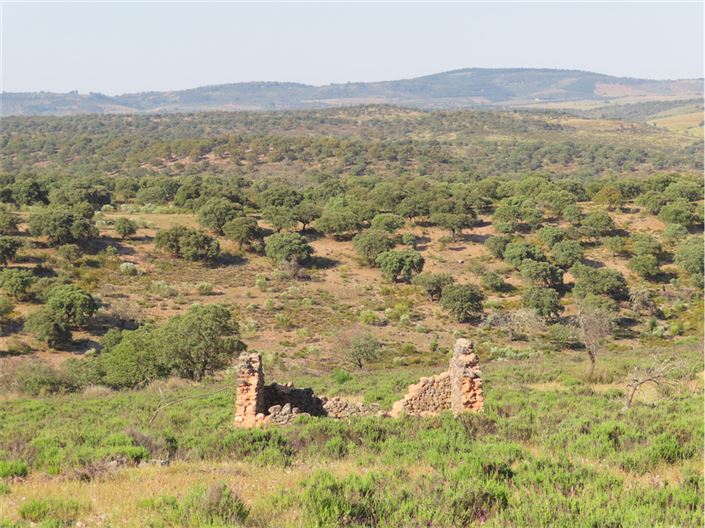 Image No.40-Property for sale