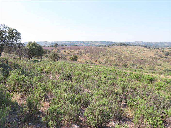 Image No.41-Property for sale