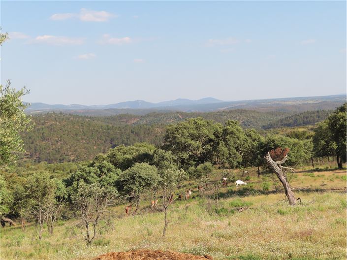 Image No.42-Property for sale