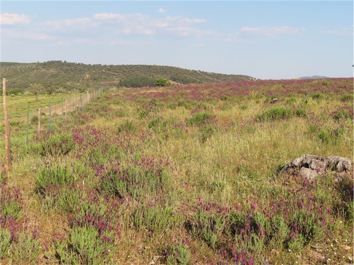 Image No.43-Property for sale