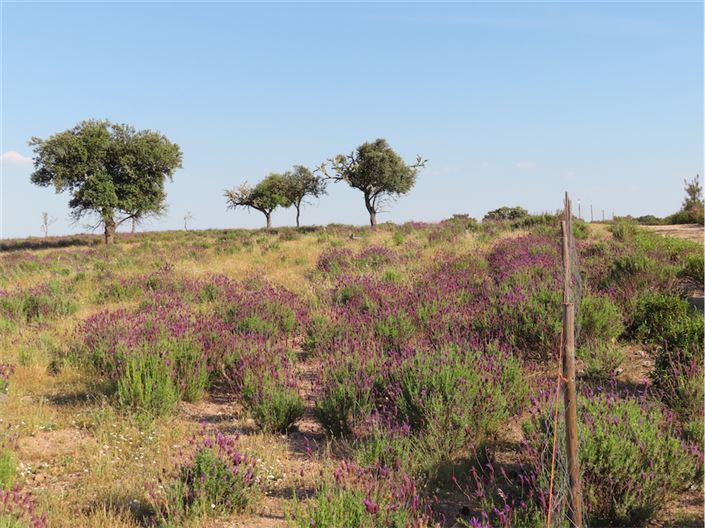 Image No.44-Property for sale