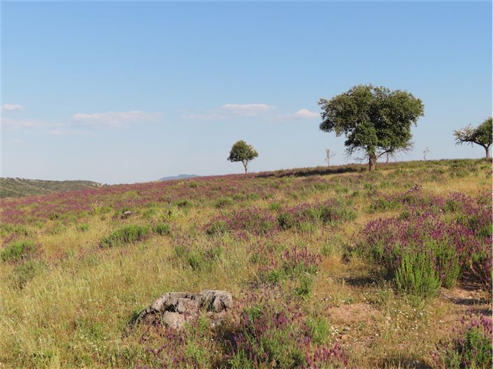 Image No.45-Property for sale