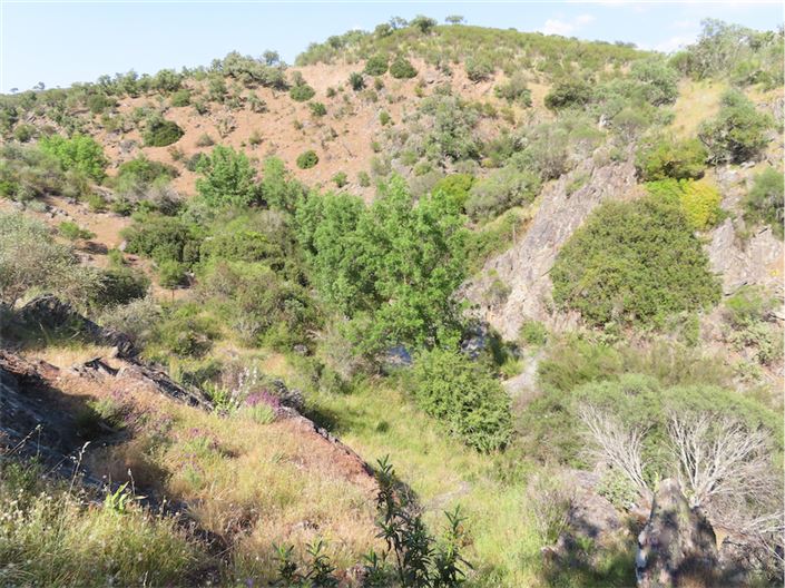 Image No.4-Property for sale