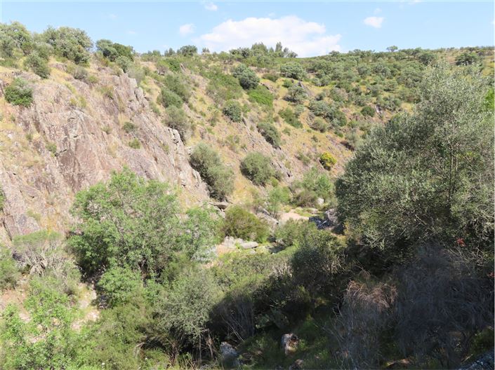 Image No.5-Property for sale