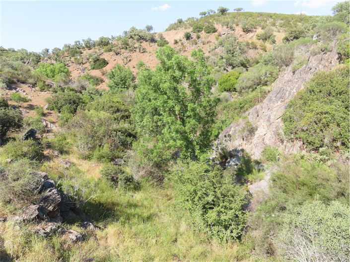 Image No.6-Property for sale