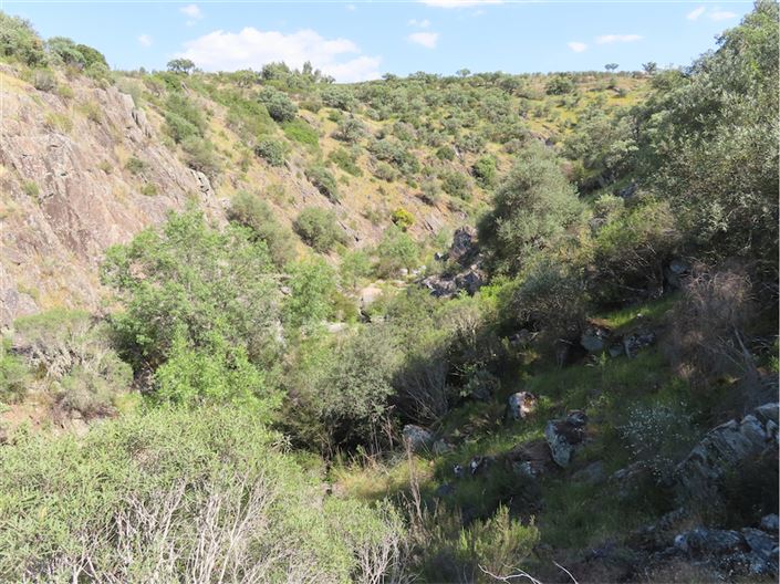 Image No.7-Property for sale