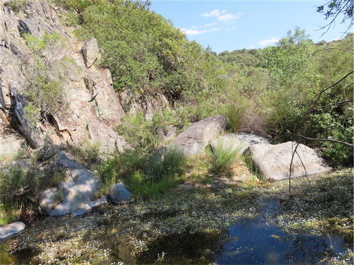 Image No.8-Property for sale