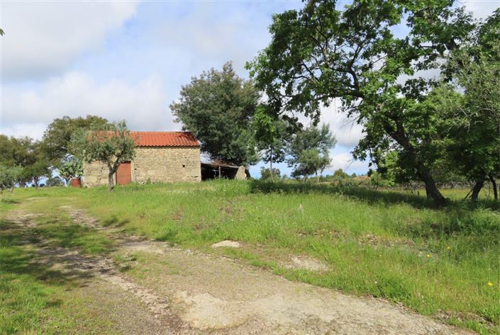 Image No.1-Propriété à vendre à Castelo Branco