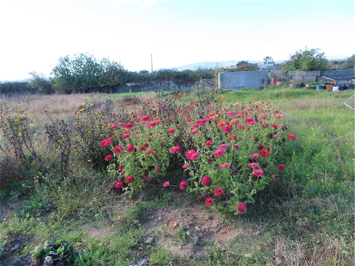 Image No.11-Property for sale