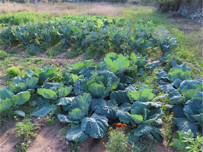 Image No.15-Property for sale