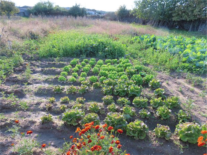 Image No.19-Property for sale