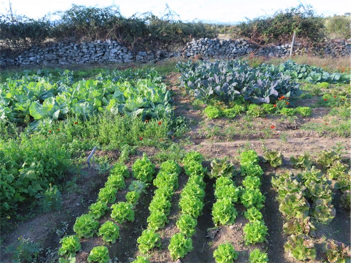 Image No.20-Property for sale