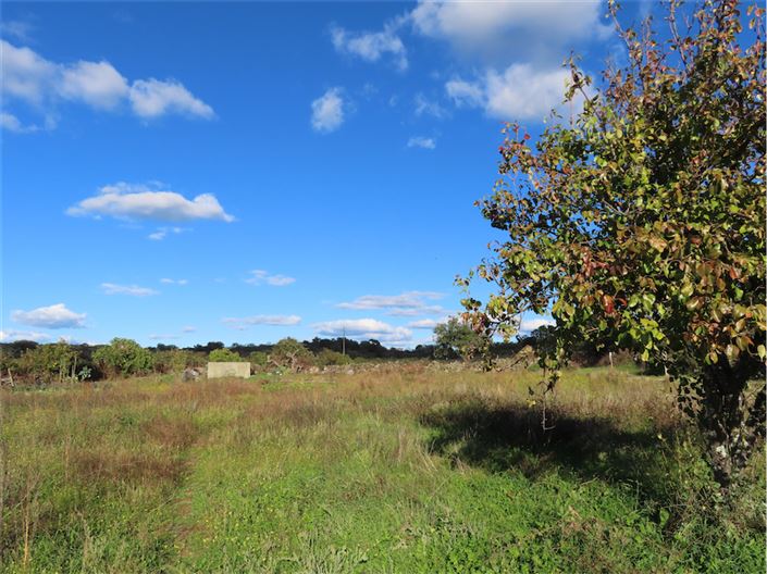 Image No.21-Property for sale