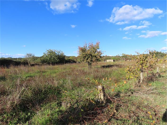 Image No.35-Property for sale