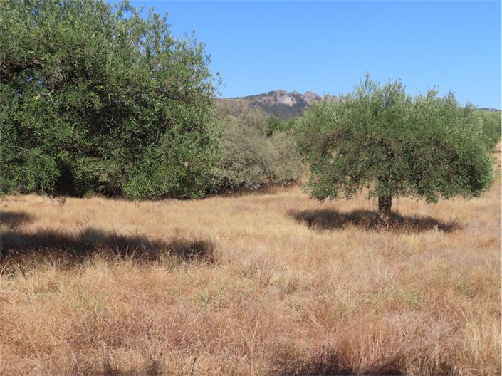 Image No.10-Propriété à vendre à Castelo Branco