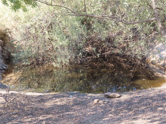 Image No.11-Propriété à vendre à Castelo Branco
