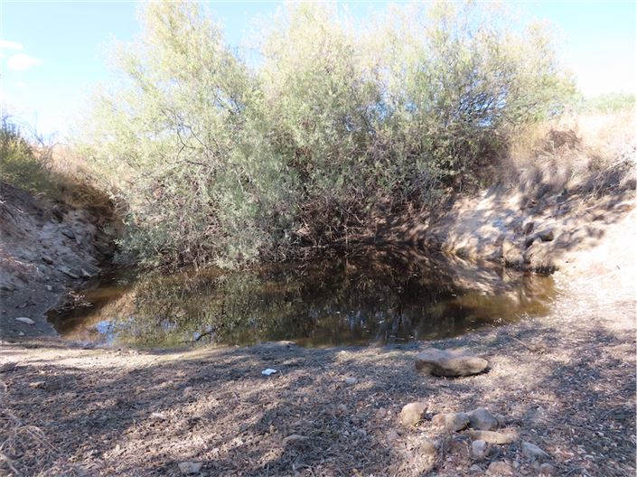 Image No.13-Propriété à vendre à Castelo Branco