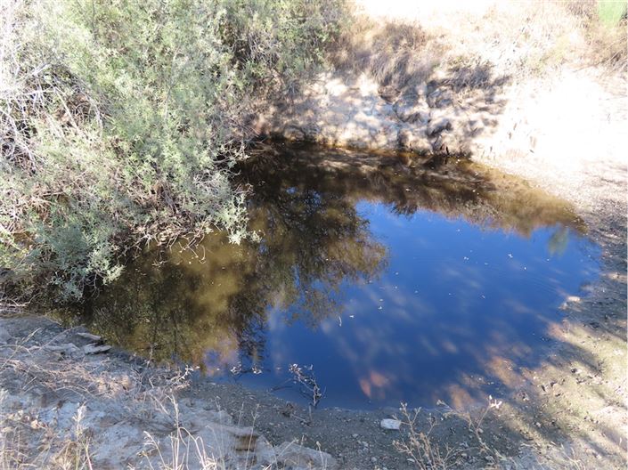 Image No.14-Propriété à vendre à Castelo Branco