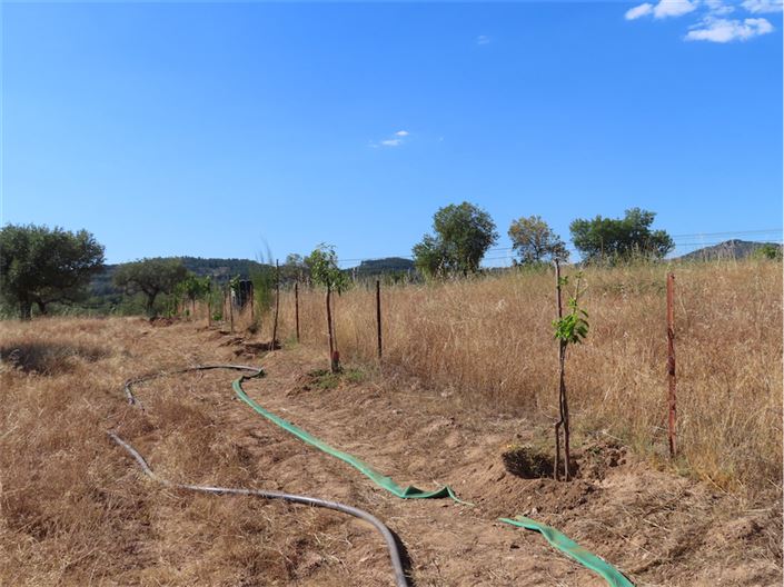 Image No.15-Propriété à vendre à Castelo Branco