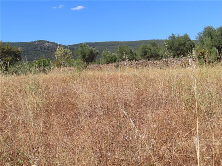 Image No.16-Propriété à vendre à Castelo Branco